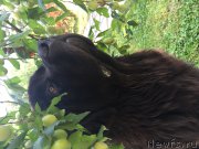 Превью фото № 190275