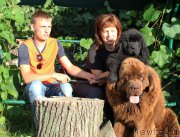 Превью фото № 190290