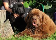 Превью фото № 190291