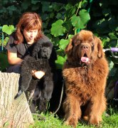 Превью фото № 190292