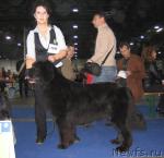 Превью фото № 19030