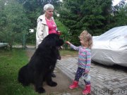 Превью фото № 190303