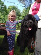 Превью фото № 190304