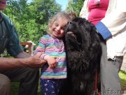 Превью фото № 190305