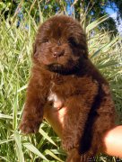 Превью фото № 190306