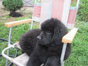 Превью фото № 190579