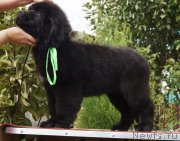 Превью фото № 190640