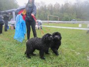 Превью фото № 190670