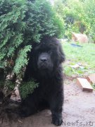 Превью фото № 190672