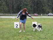 Превью фото № 190695