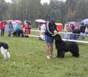 Превью фото № 190701