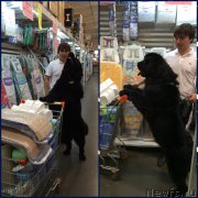 Превью фото № 190737