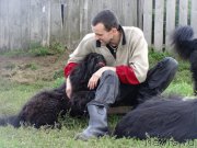 Превью фото № 190808