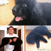 Превью фото № 190840