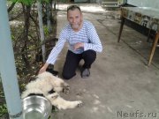 Превью фото № 190845