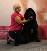 Превью фото № 190848