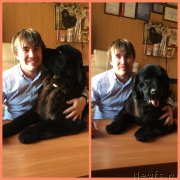 Превью фото № 190851