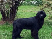 Превью фото № 190904