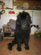 Превью фото № 190998