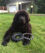 Превью фото № 191004