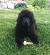 Превью фото № 191005