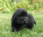 Превью фото № 19103