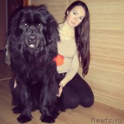 Превью фото № 191038