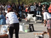 Превью фото № 191055