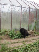 Превью фото № 191243