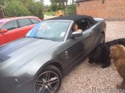 Превью фото № 191326