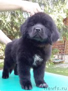 Превью фото № 191344