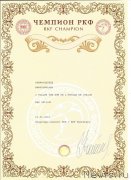 Превью фото № 191381