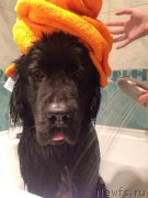 Превью фото № 191398