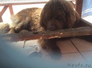 Превью фото № 191401