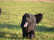 Превью фото № 191556