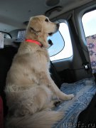 Превью фото № 191655