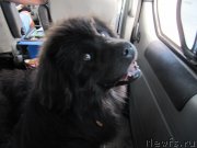 Превью фото № 191656