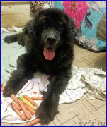 Превью фото № 191703