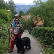 Превью фото № 191724