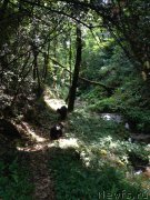 Превью фото № 191728