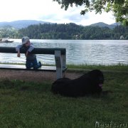 Превью фото № 191731