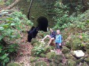 Превью фото № 191733