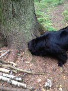 Превью фото № 191742