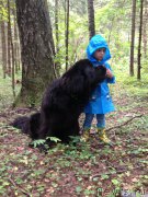 Превью фото № 191743