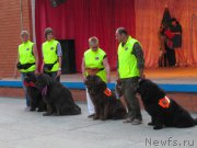 Превью фото № 191744