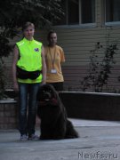 Превью фото № 191745