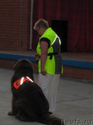 Превью фото № 191747