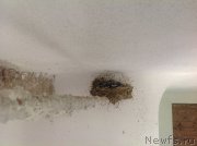 Превью фото № 191785