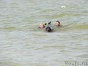 Превью фото № 191852