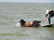 Превью фото № 191857